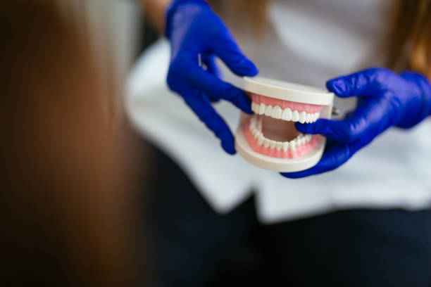 Best Teeth Whitening  in Evans, GA